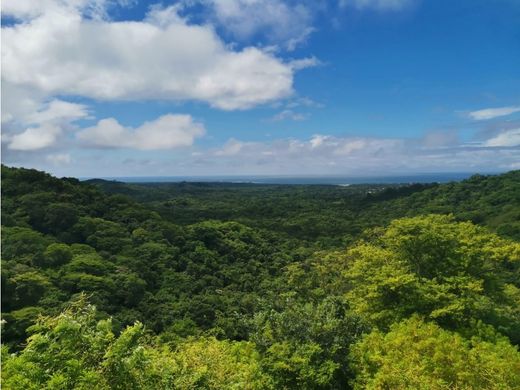 Tamarindo, Santa Cruzの土地