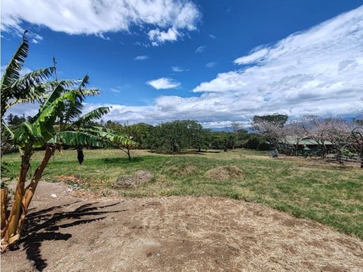 Land in Mercedes, Pérez Zeledón