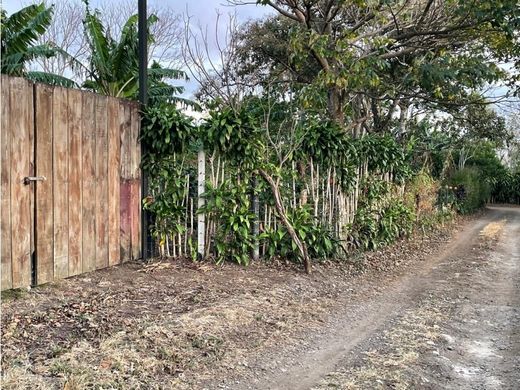 토지 / 산호세, Cantón de San José