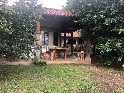 Santa Ana, Provincia de San Joséの高級住宅