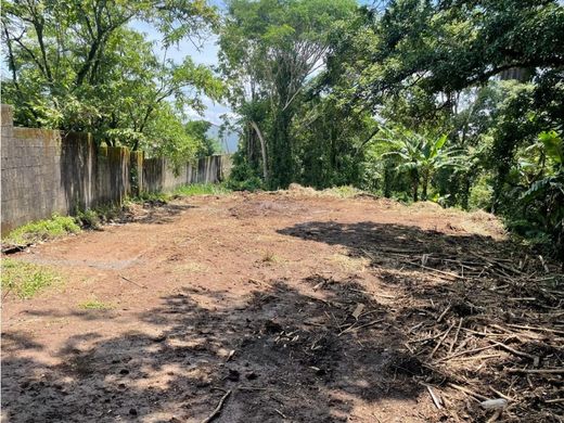 Grond in Daniel Flores, Pérez Zeledón