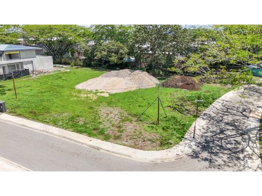 토지 / Santa Ana, Provincia de San José