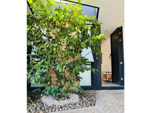 Kamienica w Santa Ana, Provincia de San José