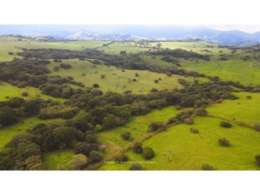 Tilarán, Provincia de Guanacasteの土地