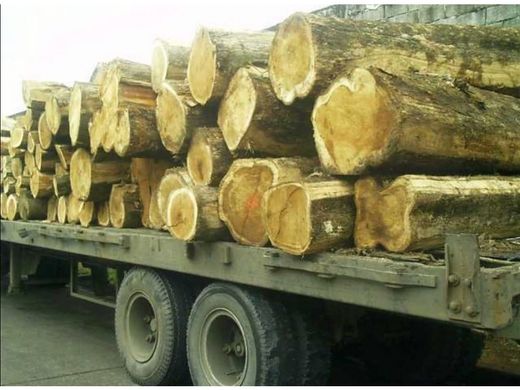 Rustykalny lub Wiejski w Osa, Provincia de Puntarenas