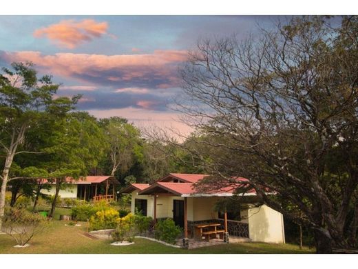 Hotel w Monte Verde, Cantón de Puntarenas