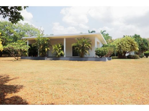 Элитный дом, Tamarindo, Santa Cruz