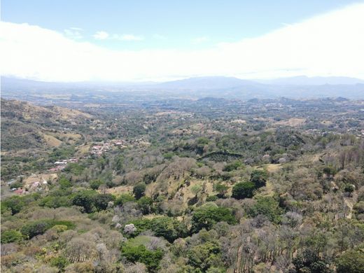 Boerderij in Atenas, Provincia de Alajuela