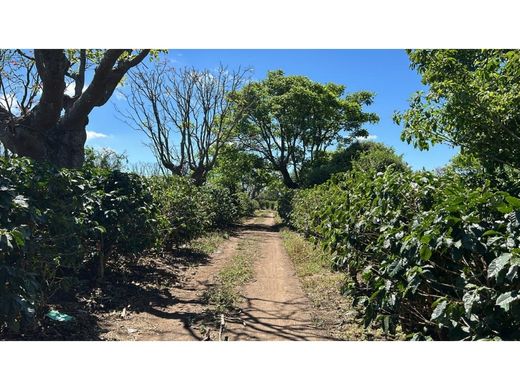 Land in Santo Tomás, Provincia de Heredia