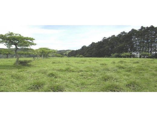 Land in Ochomogo, Cartago