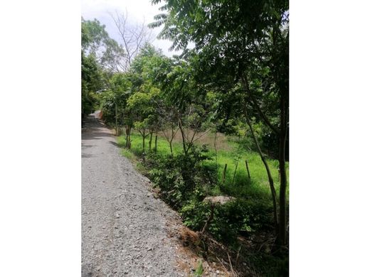 地皮  Caldera, Esparza