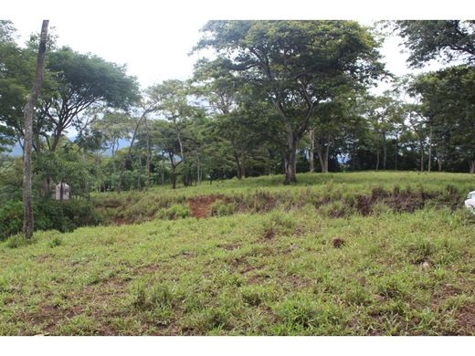 Arsa Turrúcares, Cantón de Alajuela