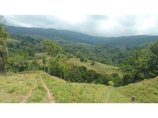 Coto Brus, Provincia de Puntarenasのカントリー風またはファームハウス