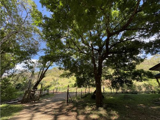 Terrain à Nicoya, Provincia de Guanacaste