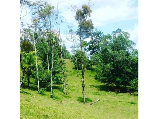 Terreno a La Fortuna, San Carlos