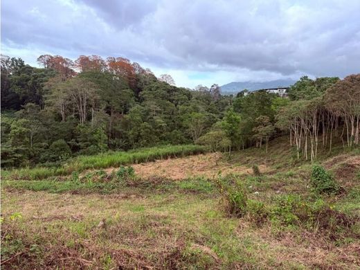 Grundstück in San Pedro, Montes de Oca