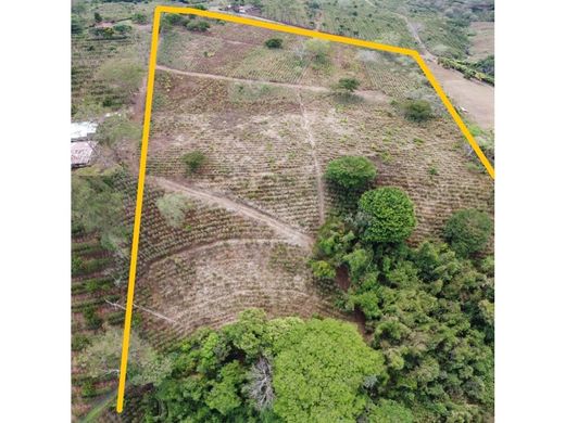 Apartment in Sarchí, Provincia de Alajuela