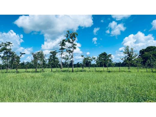Cortijo o casa de campo en Sarapiquí, Provincia de Heredia