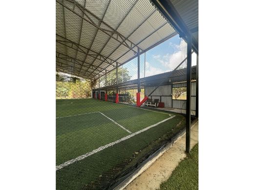 Land for sale in Belén