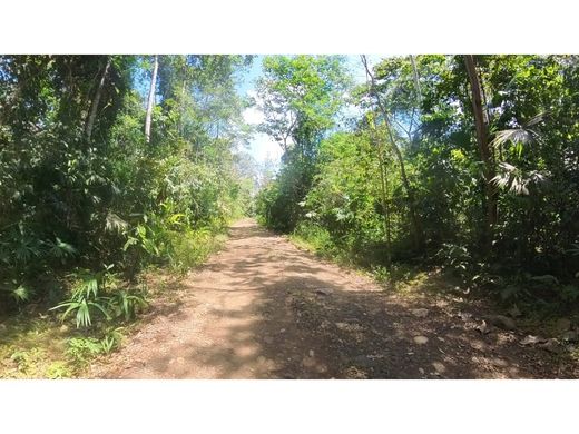 Rustico o casale a Upala, Provincia de Alajuela