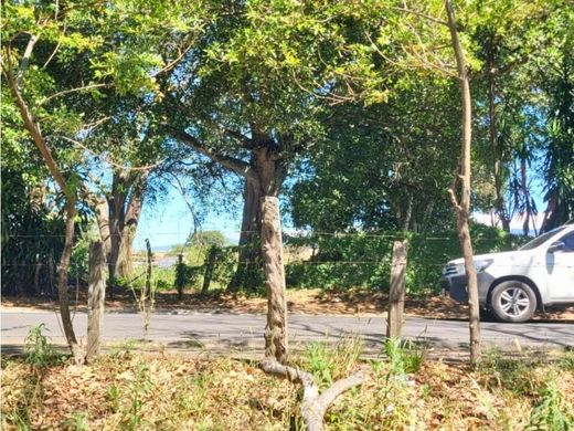 Land in Alajuela, Cantón de Alajuela