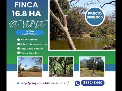 Dos de Abangares, Abangaresのカントリー風またはファームハウス