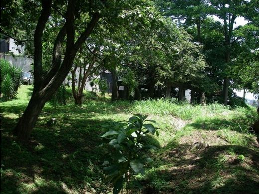 토지 / Escazú, Provincia de San José