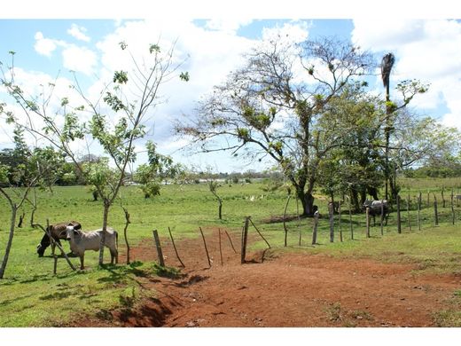 Cortijo o casa de campo en Los Chiles, Provincia de Alajuela