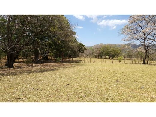 Terreno - Alajuela, Cantón de Alajuela