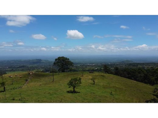 Boerderij in Aguas Zarcas, San Carlos