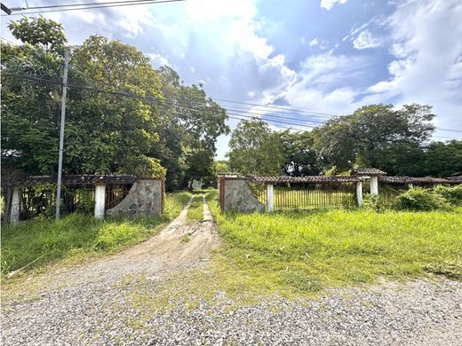 Land in Filadelfia, Carrillo