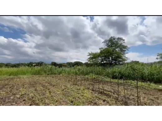 Land in Santa Ana, Provincia de San José