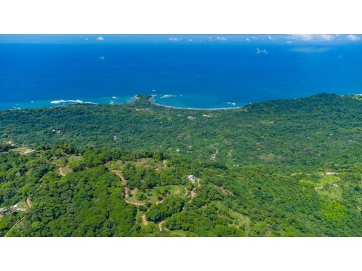 Osa, Provincia de Puntarenasの土地