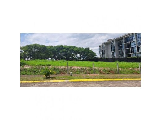 Teren w Belén, Carrillo