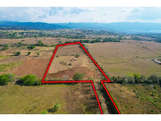 Coyol, Cantón de Alajuelaの土地