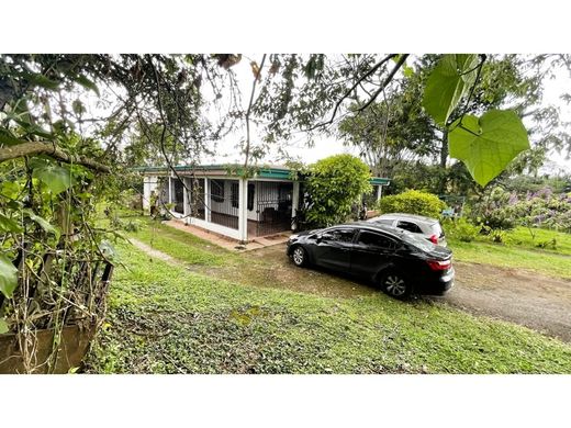 Terreno - Carrizal, Cantón de Alajuela