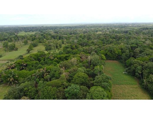 Cortijo o casa de campo en Guápiles, Pococí