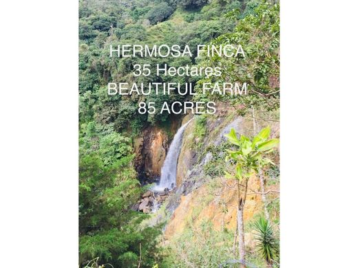 Terreno en San Ramón, Provincia de Alajuela