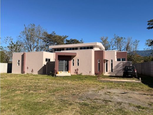 Maison de luxe à Daniel Flores, Pérez Zeledón