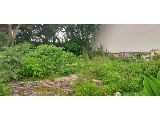 Land in San José, Cantón de San José