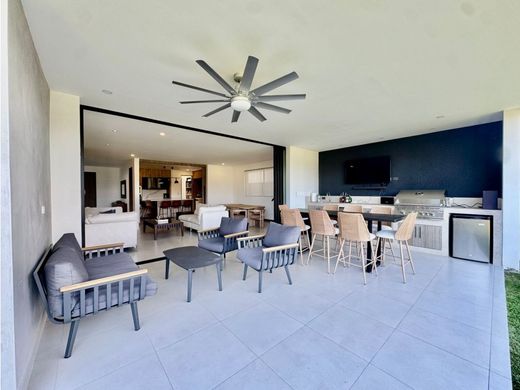 호화 저택 / Santa Ana, Provincia de San José