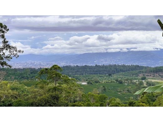 Arsa Carrizal, Cantón de Alajuela