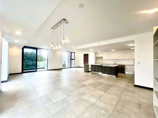 Daire Mata de Palo, Cantón de San José