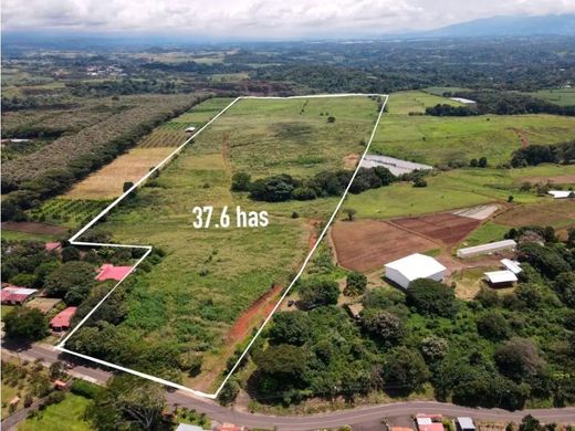 Cortijo o casa de campo en Atenas, Provincia de Alajuela