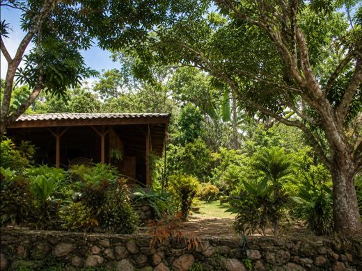 Rustik ya da çiftlik Cóbano, Cantón de Puntarenas