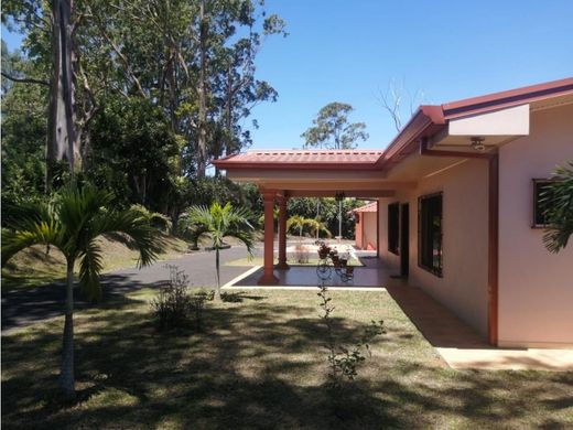 Alajuela, Provincia de Alajuelaのカントリー風またはファームハウス