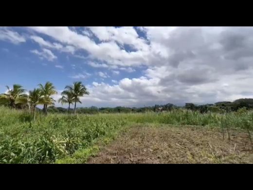 토지 / Santa Ana, Provincia de San José