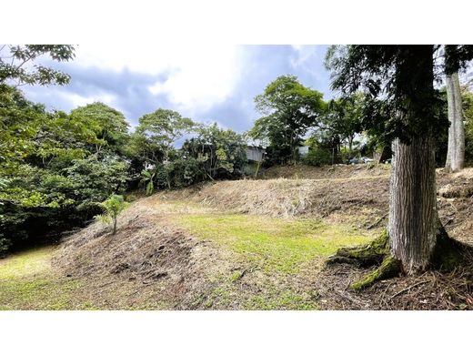 Boerderij in Naranjo, Provincia de Alajuela