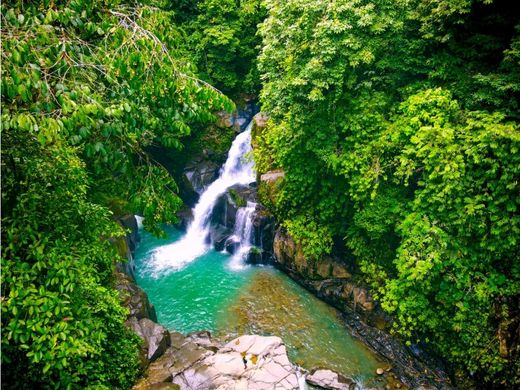 Osa, Provincia de Puntarenasの土地