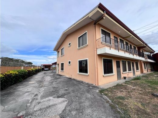 Kamienica w Belén, Carrillo